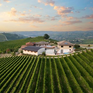 Bricco Ciarla: la nuova generazione del vino, tra memoria, innovazione e una vista mozzafiato