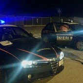 Moncalieri, blitz anti degrado di carabinieri e forze dell'ordine