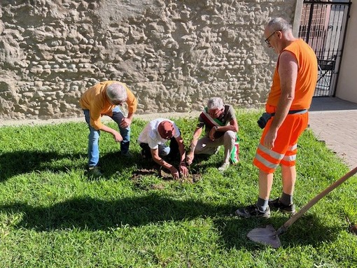 A Chivasso l’iniziativa “Un albero pedala attraverso l’Europa&quot;