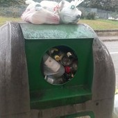 Una campana del vetro strapiena a Nichelino Una campana del vetro strapiena a Nichelino