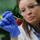 Sicurezza alimentare: tra Moncalieri, Nichelino e l'area sud oltre 2100 controlli