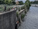 Cane finisce nelle acque della Dora, portato in salvo dai Vigili del fuoco Cane finisce nelle acque della Dora, portato in salvo dai Vigili del fuoco