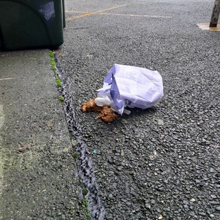 Ancora urla e schiamazzi notturni a Pozzo Strada. E nel cortile condominiale ignoti lasciano feci