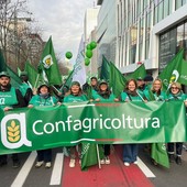 Pac, Mercosur e Green Deal, Confagricoltura in piazza a Bruxelles con gli agricoltori europei contro le politiche miopi dell'Ue