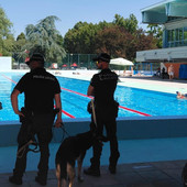 Polizia municipale e carabinieri in azione all’ingresso e a bordo piscina Polizia municipale e carabinieri in azione all’ingresso e a bordo piscina