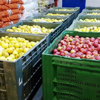 Scaffali dei supermercati vuoti al Sud, Caat: "Da noi rallentamento arrivo merce. Rispetto a Gdo più fornitori" Scaffali dei supermercati vuoti al Sud, Caat: "Da noi rallentamento arrivo merce. Rispetto a Gdo più fornitori"