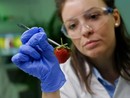 Sicurezza alimentare: tra Moncalieri, Nichelino e l'area sud oltre 2100 controlli Sicurezza alimentare: tra Moncalieri, Nichelino e l'area sud oltre 2100 controlli