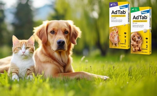 AdTab cane e gatto: come funzionano le compresse antiparassitarie per pulci e zecche