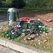 La foto mandata dalla lettrice