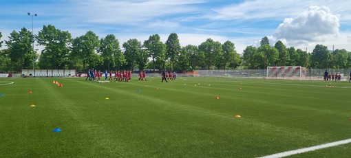 Centro Sportivo Robaldo, il Comune interviene sulla potatura dei tigli Centro Sportivo Robaldo, il Comune interviene sulla potatura dei tigli