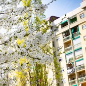 In 1.500 per ottenere la casa popolare da ristrutturare. A Torino altre 100 appartamenti in autorecupero