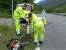 Catarifrangenti blu per prevenire gli incidenti con la fauna selvatica