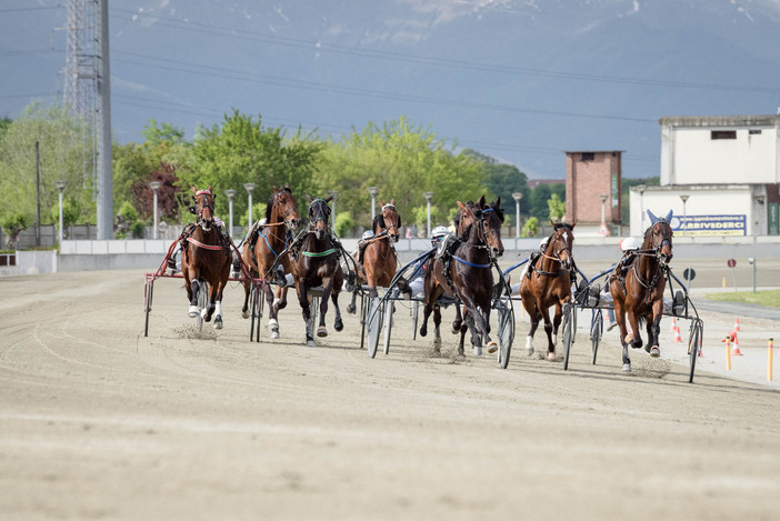 Domenica anche l'ippodromo di Vinovo ricorda il Grande Torino