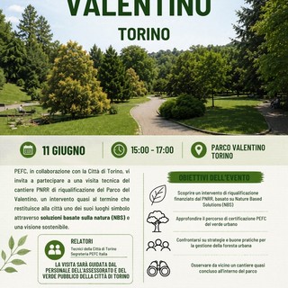 La locandina dell'appuntamento al parco del Valentino