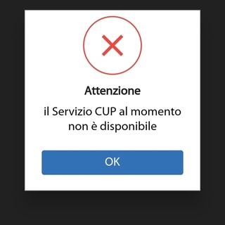 Disservizi per il Cup Piemonte
