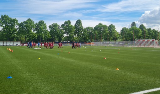 Centro Sportivo Robaldo, il Comune interviene sulla potatura dei tigli
