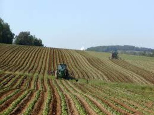 Agricoltura: parte il progetto regionale Di.agr.ammi di legalità al centro nord contro il caporalato e lo sfruttamento lavorativo