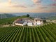 Bricco Ciarla: la nuova generazione del vino, tra memoria, innovazione e una vista mozzafiato