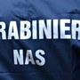 Topi morti nel magazzino: i Nas chiudono un supermercato