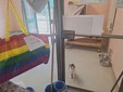 I cuccioli salvati