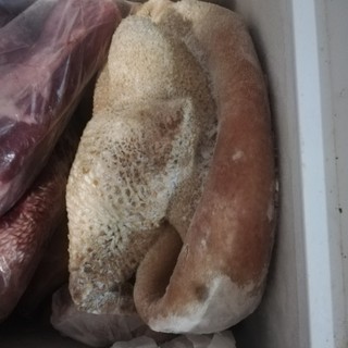 cibo mal conservato e sequestrato