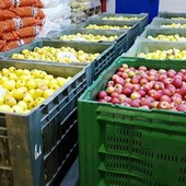 Scaffali dei supermercati vuoti al Sud, Caat: "Da noi rallentamento arrivo merce. Rispetto a Gdo più fornitori"