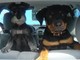 Due cani lasciati chiusi dentro una vettura rischiano di morire soffocati dal caldo: decisivo l'intervento di Polizia Municipale e Vigili del Fuoco