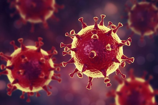 Coronavirus, in Piemonte otto nuovi contagi. Sale il numero di ricoverati