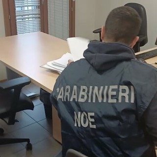 Immagine d'archivio