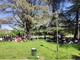 Visita virtuale al Parco del Valentino