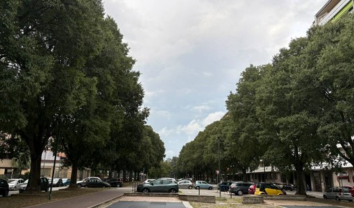Novità in vista per corso Telesio Novità in vista per corso Telesio