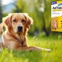 AdTab cane e gatto: come funzionano le compresse antiparassitarie per pulci e zecche