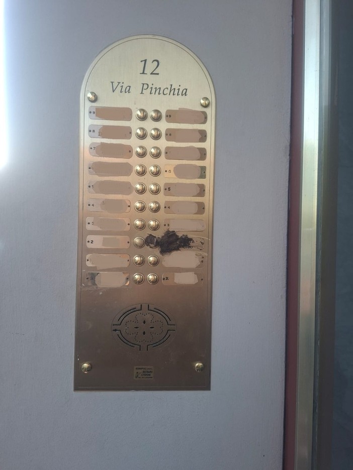 Il citofono imbrattato con quelle che sembrano deiezioni canine Il citofono imbrattato con quelle che sembrano deiezioni canine