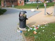 Moncalieri fa di nuovo i conti con vandali e 'furbetti dei rifiuti'