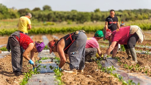 Commissione Legalità: al via il gruppo di lavoro sullo sfruttamento lavorativo