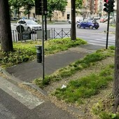 Scippo a un'anziana in corso Lecce, Fratelli d'Italia: "Basta degrado ai giardini Zumaglia"