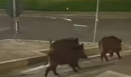Immagine di repertorio