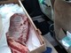 Polizia municipale sequestra 17 chili di carne fresca trasportati sui sedili di un'auto
