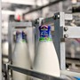 Numeri positivi per la Centrale del latte