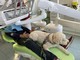 cane sulla sedia del dentista
