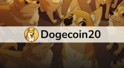 Cosa pensano questi youtuber di Dogecoin20