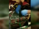Un selfie lo tradisce: blitz della Polizia a Barriera di Milano, trovati 8 chili di marijuana in un alloggio [VIDEO]