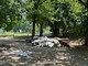 Allarme degrado al Parco della Confluenza