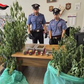 Sono in tutto cinque le persone arrestate dai carabinieri per droga