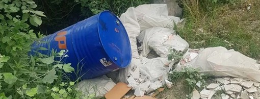Moncalieri fa di nuovo i conti con vandali e 'furbetti dei rifiuti'