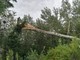 Maltempo: alberi abbattuti e blackout in Valle Soana
