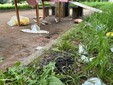 Degrado e sporcizia al giardino Nitti