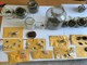 Droga e denaro sequestrati a Coassolo Droga e denaro sequestrati a Coassolo