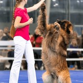 Petfestival 2023: per la prima volta in Italia i Campionati Europei di Dog Dance