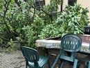 maltempo danni e alberi caduti
